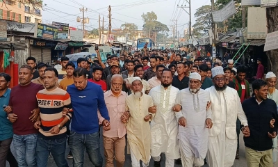 চাটখিল উপজেলা ও পৌরসভা বিএনপি এবং এর অঙ্গসংগঠনের যৌথ উদ্যোগে প্রতিবাদী বিক্ষোভ মিছিল। ছবি- রূপালী বাংলাদেশ