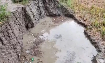 নোয়াখালীতে পানিতে ডুবে দু’দিনে প্রাণ গেল ৪ শিশুর
