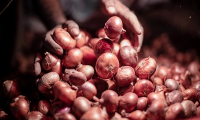 ছবি- সংগৃহীত