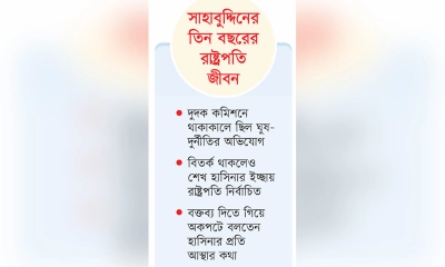 এমপি হতে চেয়ে রাষ্ট্রপতি