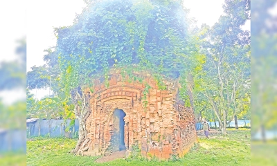 অযত্ন-অবহেলায় প্রমথ চৌধুরীর পৈতৃক ভিটা