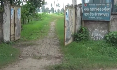 ঈশ্বরদী মৎসবীজ উৎপাদন খামার ।  ছবি- রূপালী বাংলাদেশ