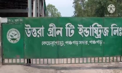 পঞ্চগড়ে চা কারখানা দখলের অভিযোগ