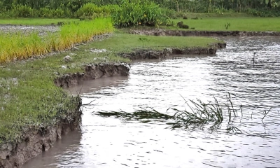 রাতের আঁধারে মাটি কাটছে প্রভাবশালীরা, ঝুঁকিতে শতাধিক পরিবার ও শিক্ষাপ্রতিষ্ঠান
