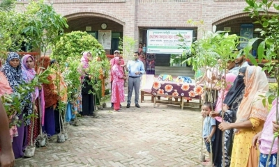ঠাকুরগাঁওয়ে হতদরিদ্র নারীদের মাঝে গাছের চারা বিতরণ