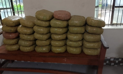 পিকআপের গোপন বাক্স থেকে ৬৬ কেজি গাঁজা উদ্ধার