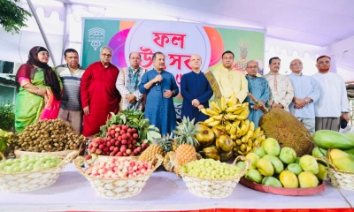 দেশীয় ফল ও দেশাত্মবোধক গানে মুখর জাতীয় প্রেস ক্লাব