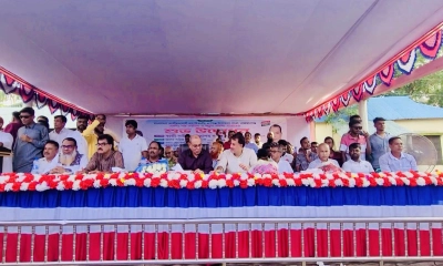 হাসিনার পতনে দেশ স্বৈরাচারমুক্ত, তবে পূর্ণ গণতন্ত্র আসেনি: বাবু