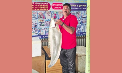 পদ্মা নদী থেকে ধরা একটি ৯ কেজি ওজনের চিতল সাড়ে ১৫ হাজার টাকায় বিক্রি। ছবি- রূপালী বাংলাদেশ