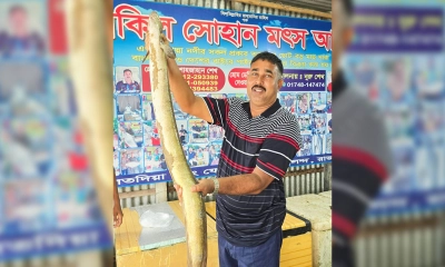 বামোশ মাছ। ছবি- রূপালী বাংলাদেশ