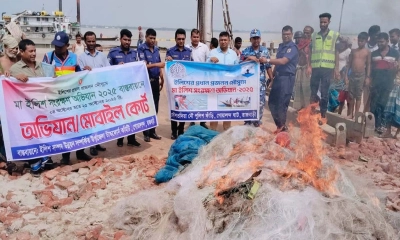 পদ্মায় মা ইলিশ রক্ষার অভিযানে কারেন্ট জাল জব্দ, নিলামে নৌকা বিক্রি