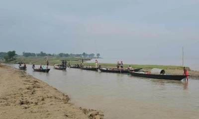 পদ্মার পাড়ে বসেছে অস্থায়ী ইলিশ হাট