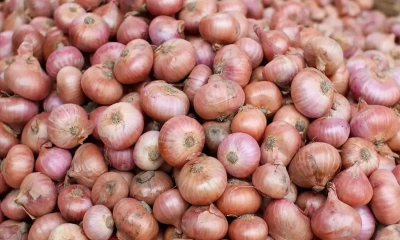 অস্থির পেঁয়াজের বাজার, বিপাকে ক্রেতারা