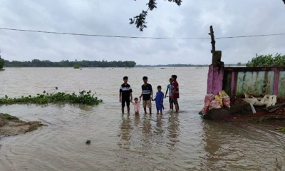 উজানের ঢল-বৃষ্টিতে রাজনগরে বন্যা, ঝুঁকিতে হাজারো পরিবার