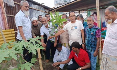 রাজশাহীতে শ্রমিকদলের উদ্যোগে বৃক্ষরোপণ কর্মসূচি পালন