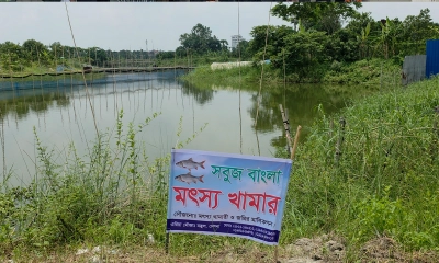 চাঁদা না পেলে মাছের খামারিকে প্রাণনাশের হুমকি