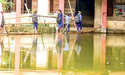 নোয়াখালীতে ১৭৭ স্কুলে পানি, ব্যাহত শিক্ষা কার্যক্রম