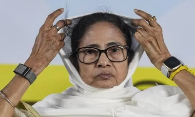 মমতা বন্দ্যোপাধ্যায়। ছবি : সংগৃহীত