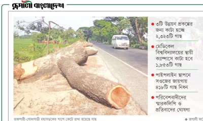 রাজশাহীর সবুজে কুঠারাঘাত!