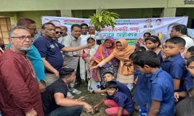 সুষ্ঠভাবে দেশ পরিচালনায় তারেক রহমানের বিকল্প নেই: হেলাল