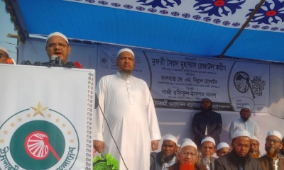 অনেকেই ‘রঙিন স্বপ্ন’ দেখছে এককভাবে ক্ষমতায় যাওয়ার: রেজাউল করীম
