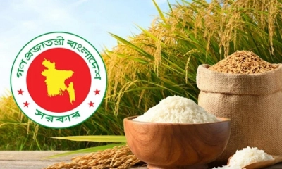 আগামী ৩ মে থেকে ধান-চাল কিনবে সরকার