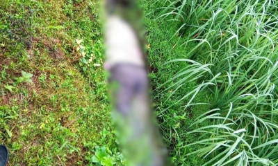 ধানখেতে পড়ে নিতাই রবিদাসের মরদেহ। ছবি- রূপালী বাংলাদেশ