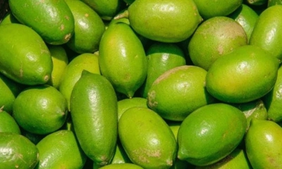 শ্রীমঙ্গলে লেবুর হালি ২০০ টাকা