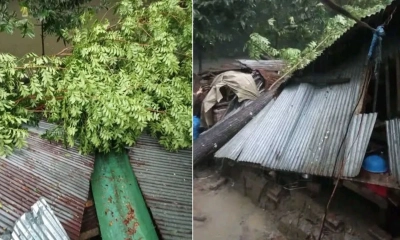 দুমকিতে কালবৈশাখী ঝড়ে ব্যাপক ক্ষতি, বিদ্যুৎ বিচ্ছিন্ন