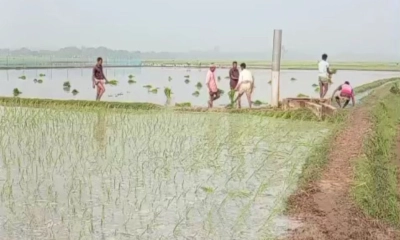 ভাড়াটে বাহিনী নিয়ে জমি দখল করে রোপণের চেষ্টা, পুলিশ দেখে দৌড়