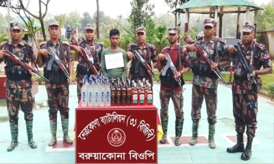 কলমাকান্দায় বিজিবির অভিযান, ৫০ বোতল ভারতীয় মদসহ যুবক আটক