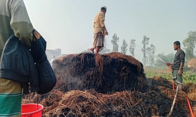 উল্লাপাড়ায় আগুনে পুড়ল দুই কৃষকের সম্পদ