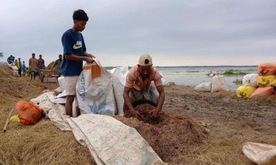 টানা বৃষ্টি ও বন্যায় হবিগঞ্জে ৩৪০ কোটি টাকার ফসল নষ্ট