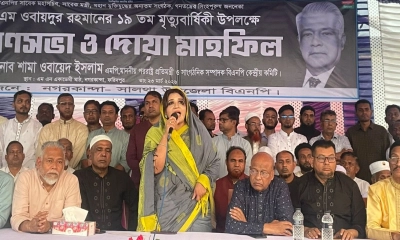 মানুষের যেখানে সমস্যা, সেখানেই আমি ছুটে যাই : পররাষ্ট্র প্রতিমন্ত্রী