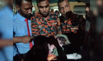 চলন্ত ট্রেনে নারীর বাচ্চা প্রসব, ছাত্রদল নেতা-পুলিশের সহায়তায় রক্ষা