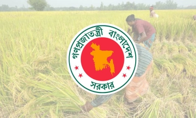 কৃষি ঋণে সুদসহ ১০ হাজার টাকা পর্যন্ত মওকুফের সিদ্ধান্ত নিয়েছে সরকার