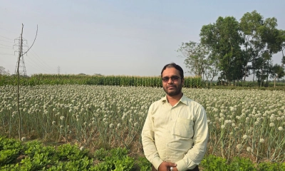 প্রথমবারের মতো পেঁয়াজ চাষে স্বপ্ন বুনছেন মুরাদনগরের চাষিরা