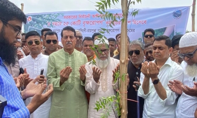 পরিবেশের ভারসাম্য রক্ষায় ২৫ শতাংশ বনায়নের প্রয়োজন : খোকন