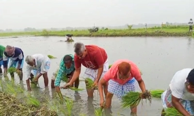 স্থানীয় কৃষকদের সঙ্গে আবাদী জমিতে ধানের চারা রোপণ করেন কেন্দ্রীয় যুবদলের সাবেক যুগ্ম সম্পাদক মোহাম্মদ দুলাল হোসেন। ছবি- রূপালী বাংলাদেশ