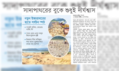 ছবি- সংগৃহীত ছবি- সংগৃহীত