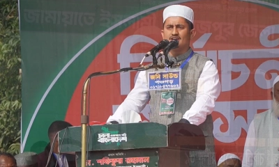 ভোটে নির্ধারিত হবে দেশ সামনে এগিয়ে যাবে, নাকি পিছিয়ে পড়বে : সারজিস