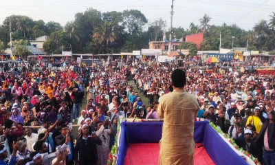 উন্নয়নের স্বার্থে ধানের শীষে ভোট দিন : হাবিব