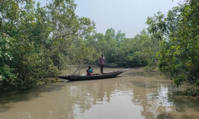 কাঁকড়া ধরার নিষেধাজ্ঞা শেষ, সুন্দরবনে জেলেদের স্বস্তি