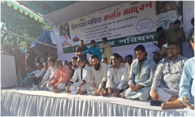 জাপার রাজনীতি নিষিদ্ধের দাবি ২৯ দলের