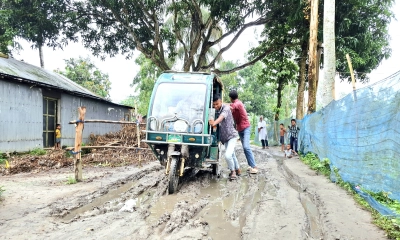 শেরপুরে কালিতলা-কৃষ্ণপুর সড়কে দুর্ভোগ, দেখার কেউ নেই
