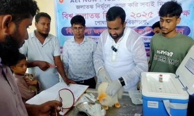নকলায় বিশ্ব জলাতঙ্ক দিবস উপলক্ষে টিকা প্রদান
