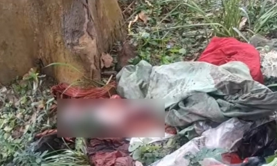 উল্লাপাড়ায় পরিত্যক্ত ভিটা থেকে নবজাতকের মরদেহ উদ্ধার