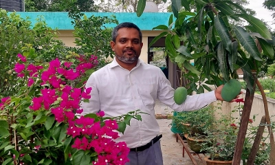 ছাদে সবুজ বিপ্লব কৃষি কর্মকর্তার