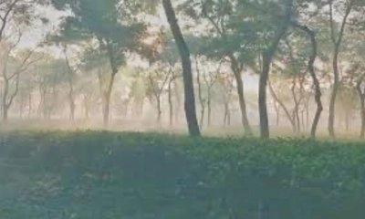 শীতে কাঁপছে চায়ের জনপদ শ্রীমঙ্গল