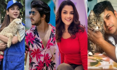 ৮ কুকুরছানা হত্যা: ক্ষোভে ফুঁসছে শোবিজ অঙ্গন, সর্বোচ্চ শাস্তির দাবি